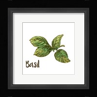 Basil Framed Print