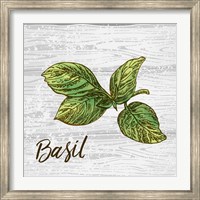 Basil on Wood Fine Art Print