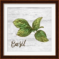 Basil on Wood Fine Art Print