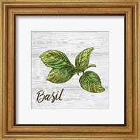 Basil on Wood Fine Art Print