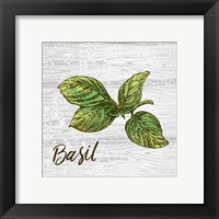 Basil on Wood Fine Art Print