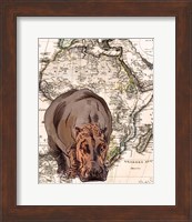 African Hippo Fine Art Print