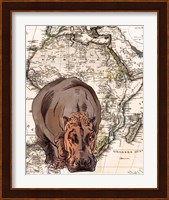 African Hippo Fine Art Print