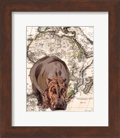 African Hippo Fine Art Print