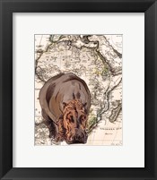 African Hippo Framed Print