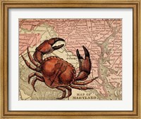 Maryland's Jumbo Crabs Fine Art Print