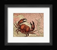 Maryland's Jumbo Crabs Framed Print