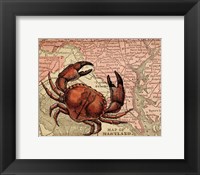 Maryland's Jumbo Crabs Framed Print