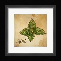 Mint on Burlap Framed Print
