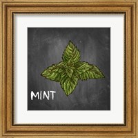 Mint on Chalkboard Fine Art Print