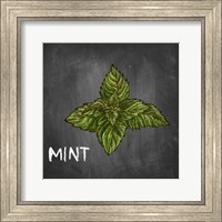 Mint on Chalkboard Fine Art Print