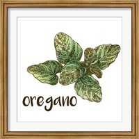 Oregano Fine Art Print