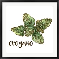 Oregano Fine Art Print