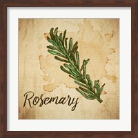 Rosemary on Burlap Fine Art Print
