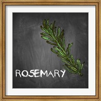Rosemary on Chalkboard Fine Art Print