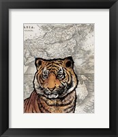 Asian Tiger Fine Art Print