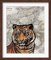 Asian Tiger Fine Art Print
