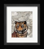 Asian Tiger Fine Art Print