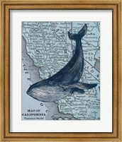 California's Grayback Whale Fine Art Print