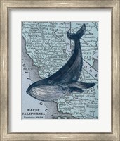 California's Grayback Whale Fine Art Print