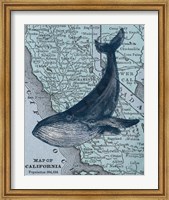 California's Grayback Whale Fine Art Print
