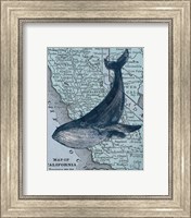 California's Grayback Whale Fine Art Print