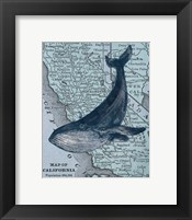 California's Grayback Whale Fine Art Print