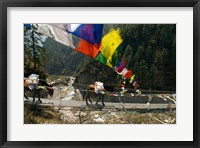 Mule train on trail to Namche Bazaar, Larja Bridge, Khumbu, Nepal Fine Art Print