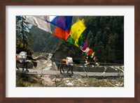 Mule train on trail to Namche Bazaar, Larja Bridge, Khumbu, Nepal Fine Art Print