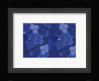 Cool Blue 9 Fine Art Print