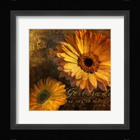 Golden Gerbera IV Framed Print