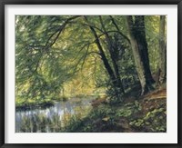 River Through the Woods Fine Art Print