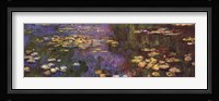 Waterlilies Fine Art Print