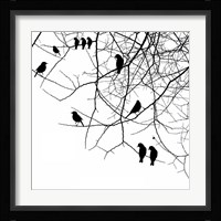 Bird II Fine Art Print