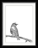 Bird III Fine Art Print