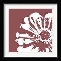 Flower II Framed Print