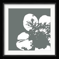 Flower III Framed Print