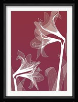 X-ray Flowers Red Fine Art Print
