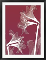 X-ray Flowers Red Fine Art Print