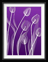 X-ray Flowers Purple Fine Art Print
