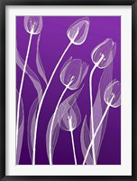 X-ray Flowers Purple Fine Art Print