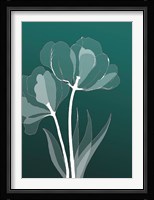 X-ray Flowers Green Fine Art Print
