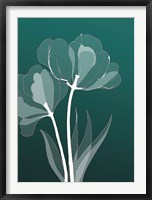 X-ray Flowers Green Fine Art Print