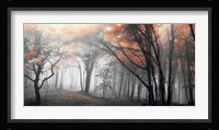 Autumn Woods 1 Framed Print