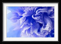Blue Flower Fine Art Print