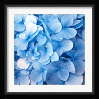 Blue Flowers Fine Art Print