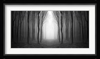 Dark Woods Fine Art Print