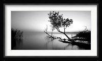 Great Lake Fine Art Print