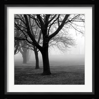 Trees Fine Art Print