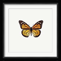 Yellow Butterfly 2 Framed Print